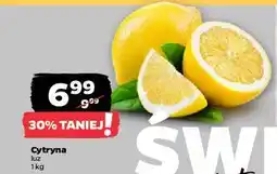 Netto Cytryny oferta