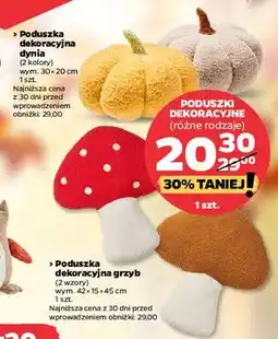 Netto Poduszka dekoracyjna grzybek oferta