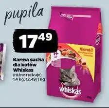 Netto Karma dla kota z wołowiną Whiskas oferta