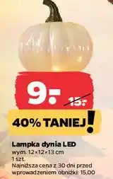 Netto Lampka dynia led oferta