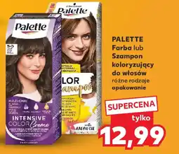 Kaufland PALETTE Farba lub Szampon koloryzujący do włosów oferta