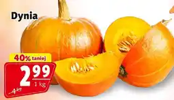 Prim Market Dynia Prim Market oferta