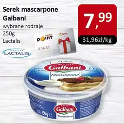Market Point Serek mascarpone Galbani wybrane rodzaje Galbani Lactalis oferta