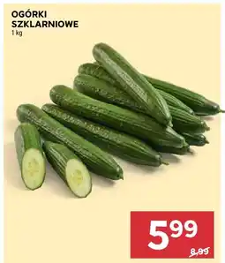 Stokrotka Ogórki szklarniowe Stokrotka oferta