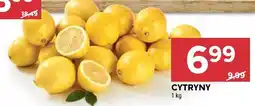 Stokrotka Cytryny Stokrotka oferta