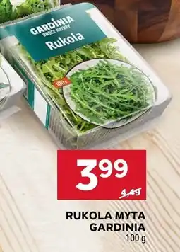 Stokrotka Rukola myta Gardinia oferta