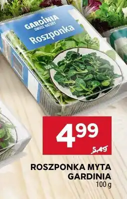 Stokrotka Roszponka myta Gardinia oferta