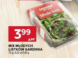 Stokrotka Mix młodych listków Gardinia oferta