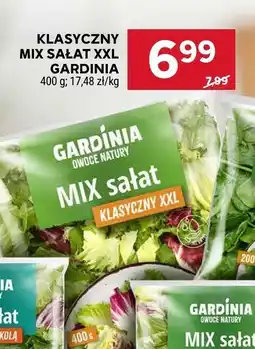 Stokrotka Mix sałat klasyczny XXL Gardinia oferta
