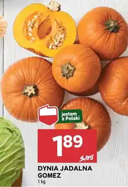Stokrotka Dynia jadalna Gomez oferta