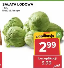 Stokrotka Sałata lodowa Stokrotka oferta