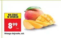 Biedronka Mango oferta