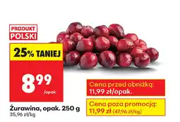 Biedronka Żurawina Polski oferta