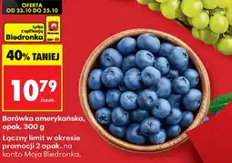Biedronka Borówka amerykańska Biedronka oferta