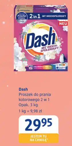 dm drogerie markt Proszek do prania Dash oferta