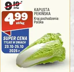 Społem Kapusta oferta