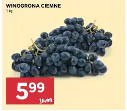 Stokrotka Winogrona oferta
