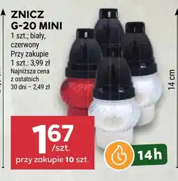 Stokrotka Market Znicz oferta