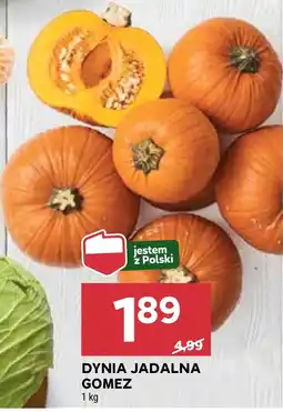 Stokrotka Dynia Polski oferta