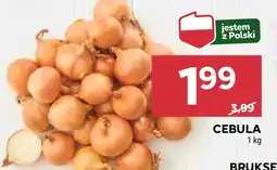 Stokrotka Cebula Polski oferta