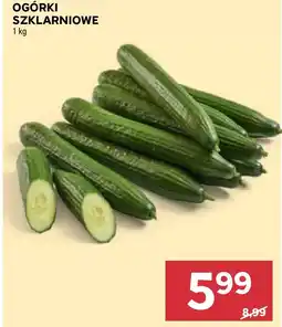 Stokrotka Ogórki oferta