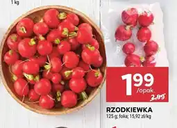 Stokrotka Rzodkiewka Stokrotka oferta