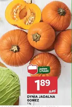 Stokrotka Dynia jadalna gomez Stokrotka oferta