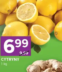 Stokrotka Express Cytryna oferta