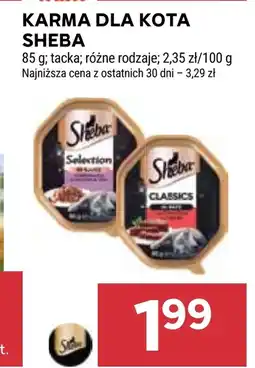 Stokrotka Karma dla kota Sheba oferta