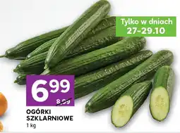 Stokrotka Ogórki szklarniowe Stokrotka oferta