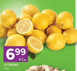 Stokrotka Cytryny Stokrotka oferta