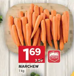 Stokrotka Marchew Stokrotka oferta