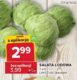 Stokrotka Sałata lodowa Stokrotka oferta