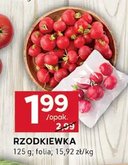 Stokrotka Rzodkiewka Stokrotka oferta