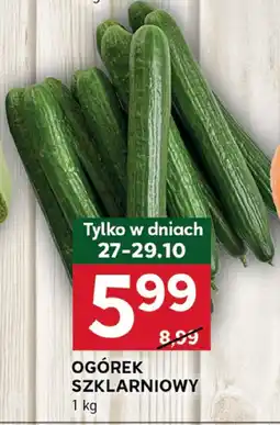 Stokrotka Ogórek szklarniowy Stokrotka oferta