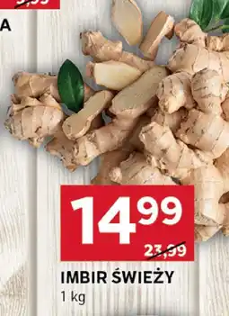 Stokrotka Imbir świeży Stokrotka oferta