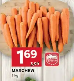 Stokrotka Optima Marchew oferta