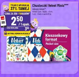 Polomarket Velvet Minis Chusteczki kieszonkowe oferta