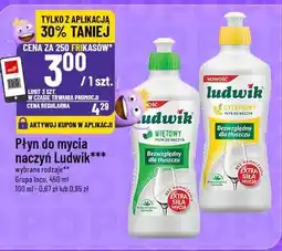 Polomarket Płyn do mycia naczyń Ludwik oferta