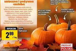 Polomarket Dynia Halloween oferta
