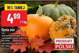 Polomarket Dynia mix oferta