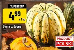 Polomarket Dynia ozdobna oferta