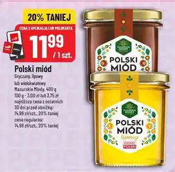 Polomarket Polski miód (gryczany, lipowy lub wielokwiatowy) Mazurskie Miody 400g oferta