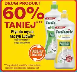 Polomarket Ludwik Płyn do mycia naczyń oferta