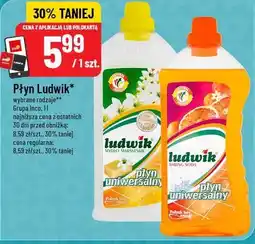 Polomarket Ludwik Płyn uniwersalny oferta