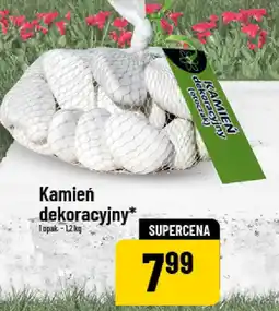 Polomarket Kamień dekoracyjny oferta