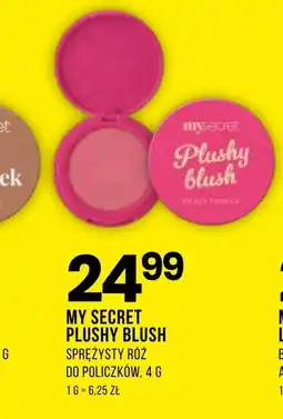 Drogerie Natura Róż do policzków My secret oferta