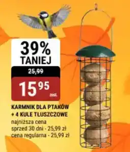 bi1 Karmnik dla ptaków + 4 kule tłuszczowe oferta