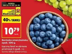 Biedronka Borówki amerykańskie oferta