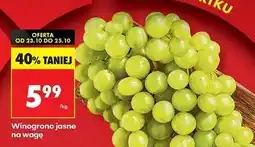 Biedronka Winogrona jasne oferta